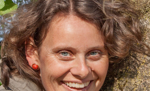 Daniela Mittermayr-Zech 