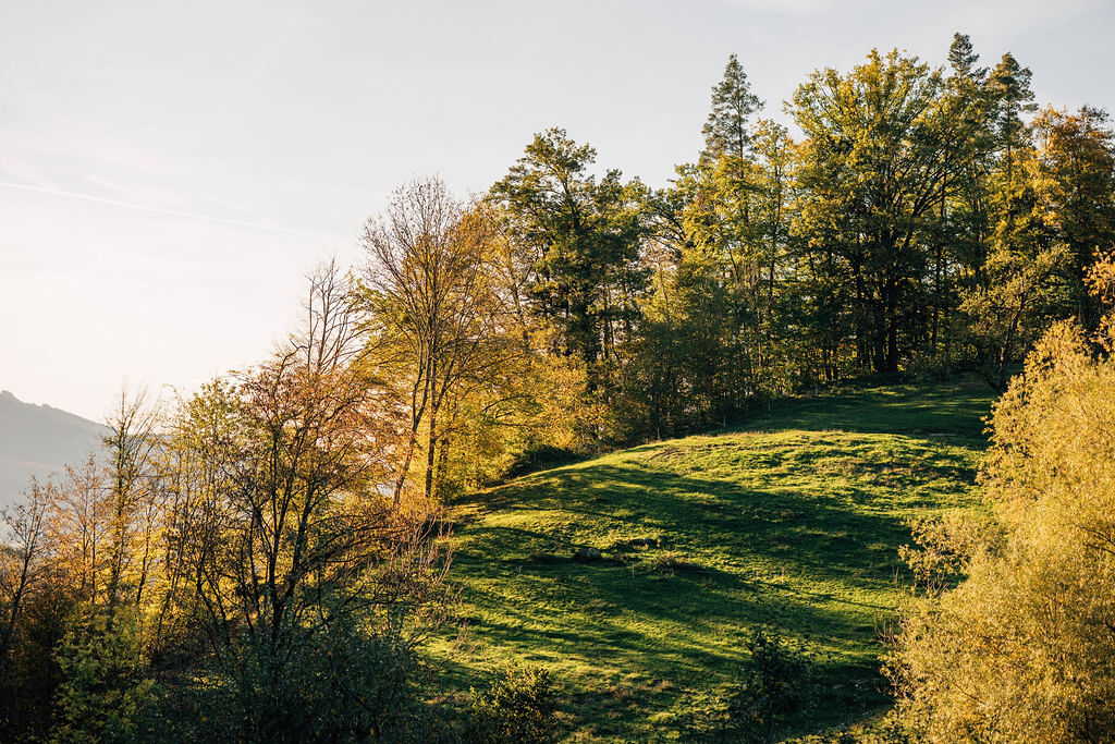 Arbogast im Herbst