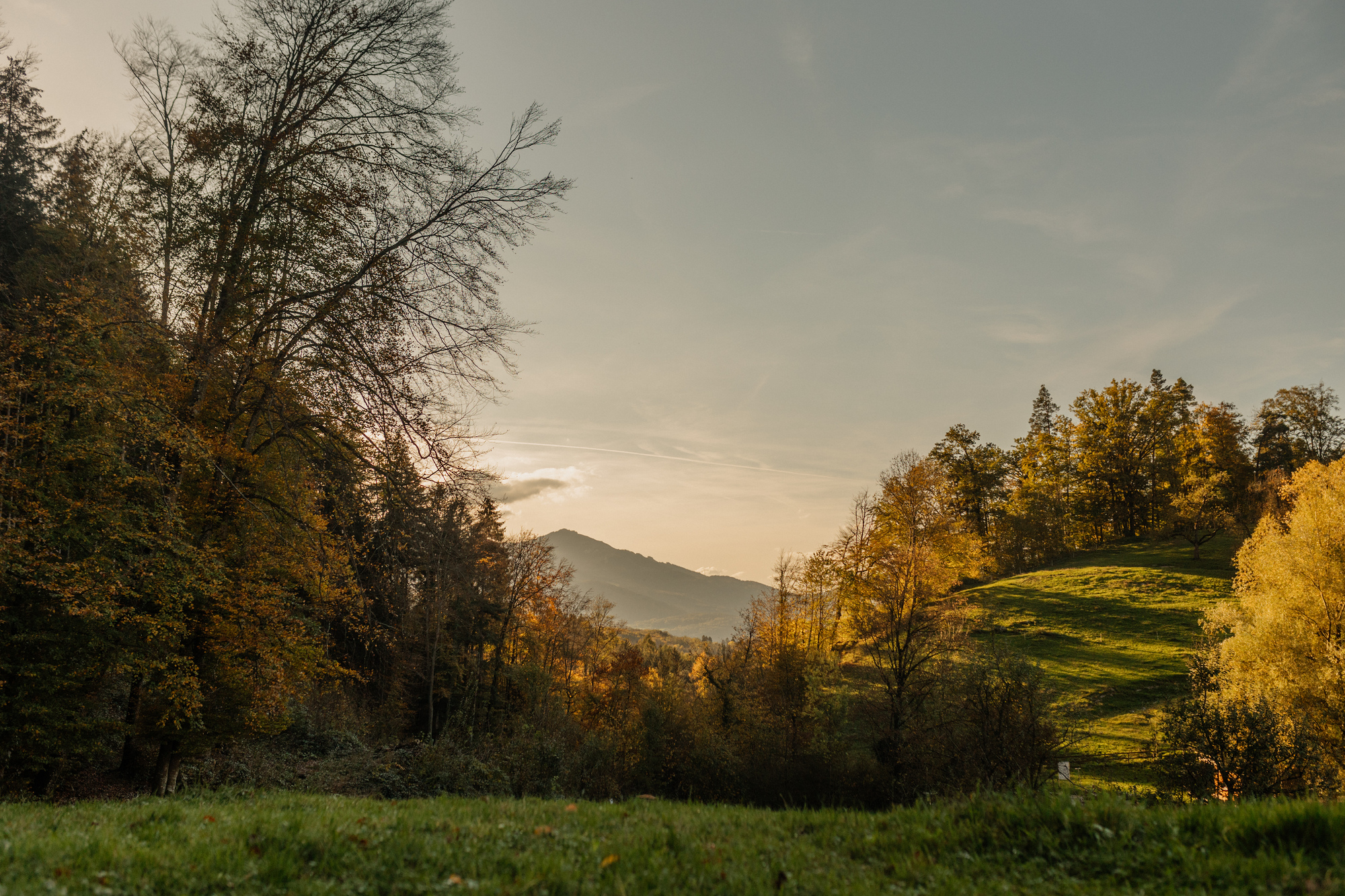 Familien-Urlaub z‘Vorarlberg