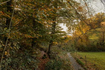 Arbogast Umgebung Gehweg 