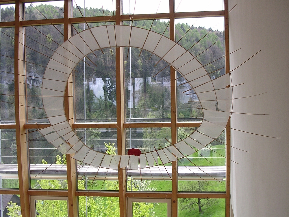 Flugdrache gebaut in Arbogast 