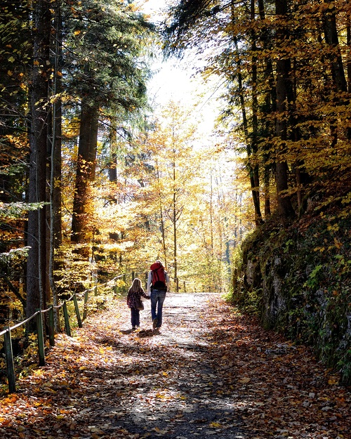 Familienauszeit im Herbst