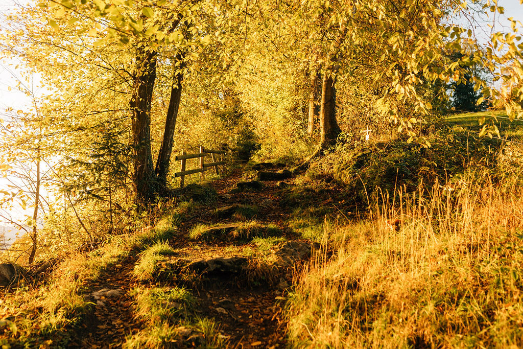 Arbogast im Herbst